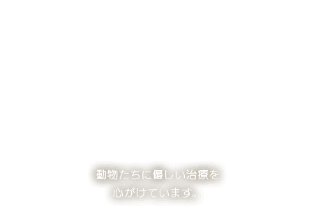 動物たちに優しい治療を心がけています。