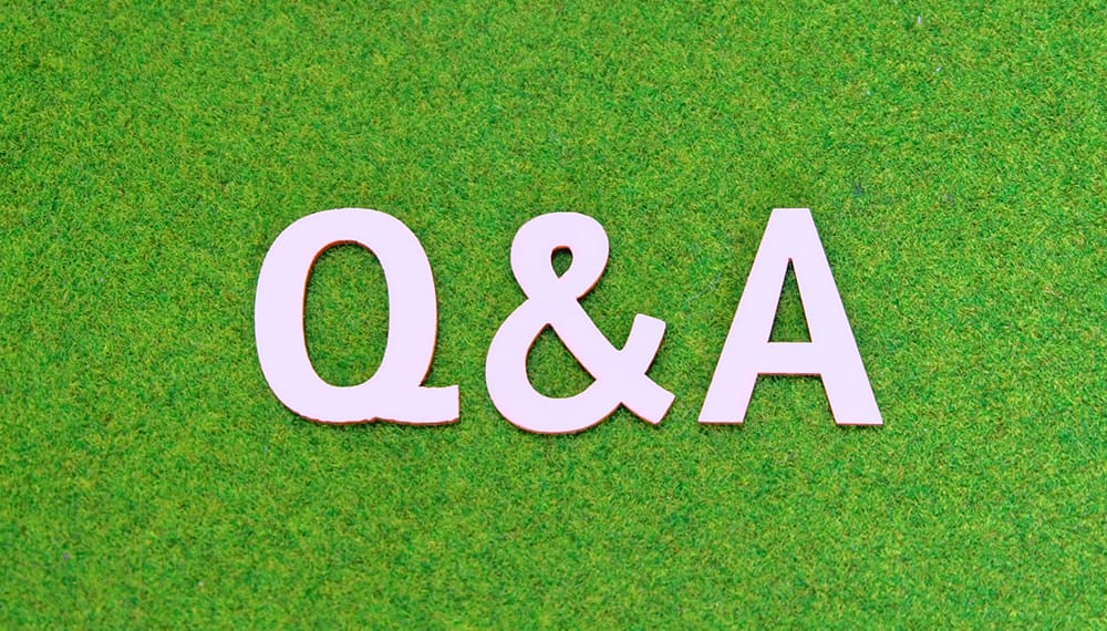 Q&A